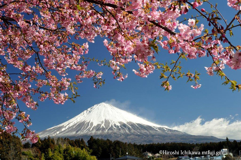 富士山118