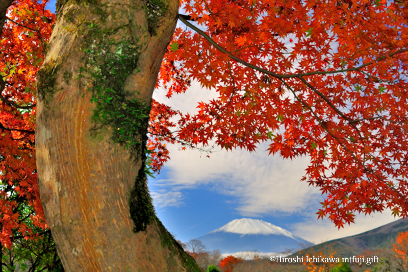 富士山12