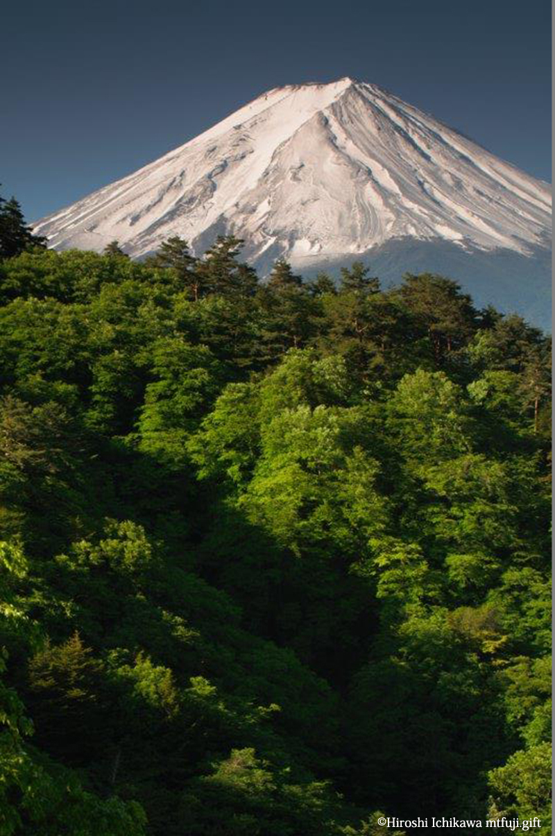 富士山127
