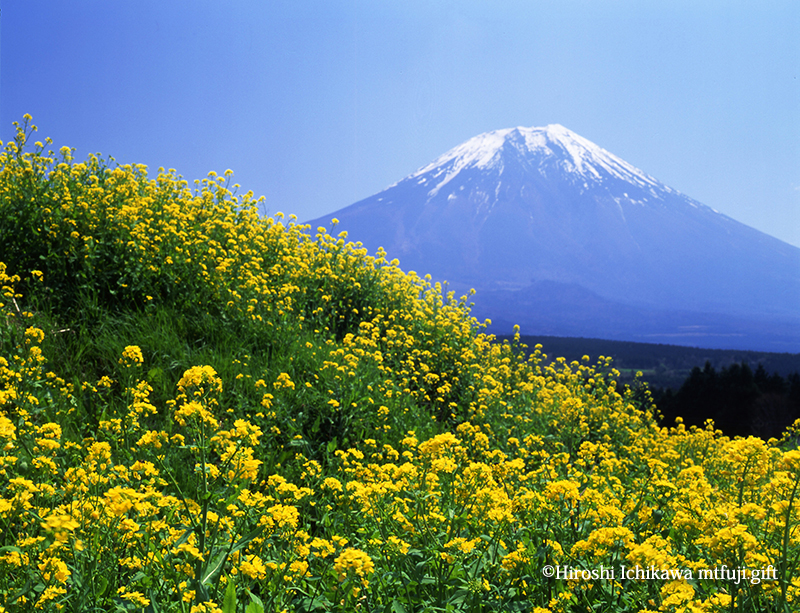 富士山148