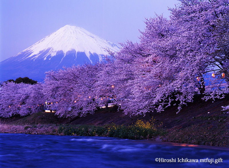 富士山164