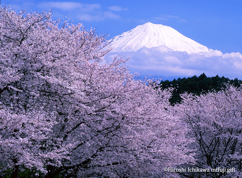 富士山172