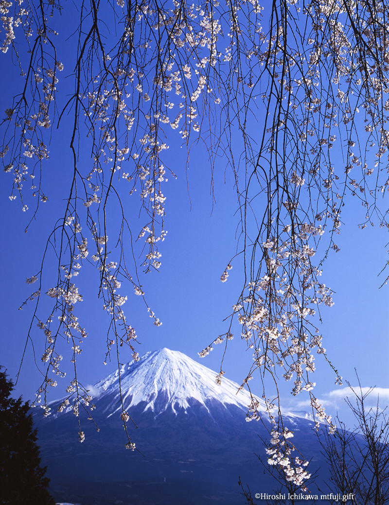 富士山233