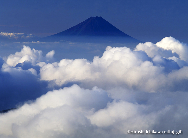 富士山239