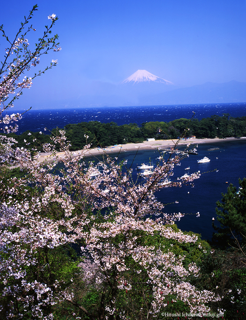 富士山243