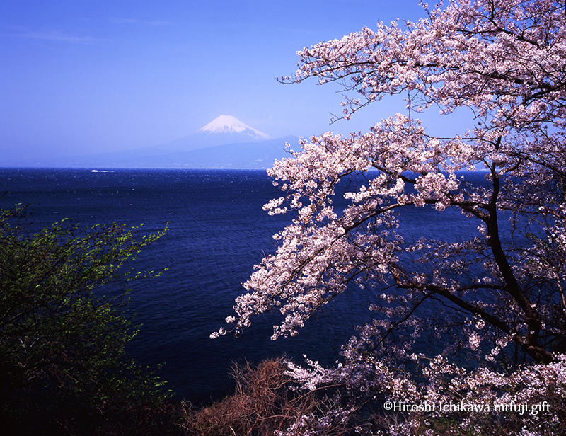富士山244
