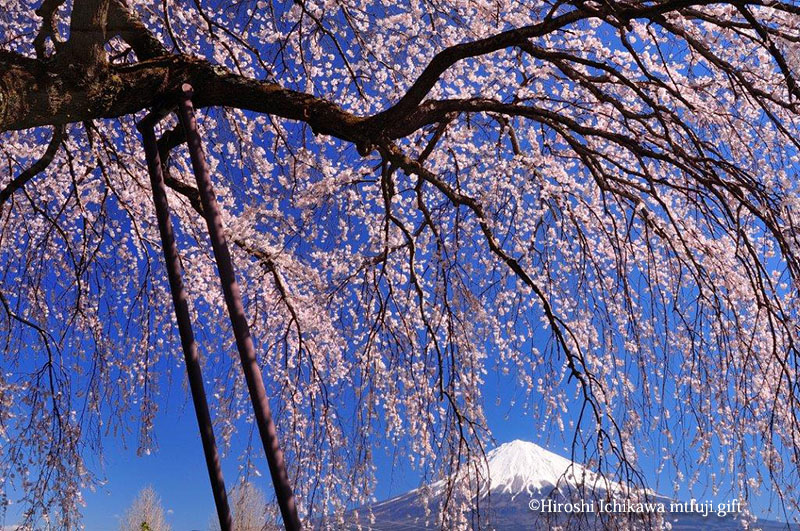 富士山26