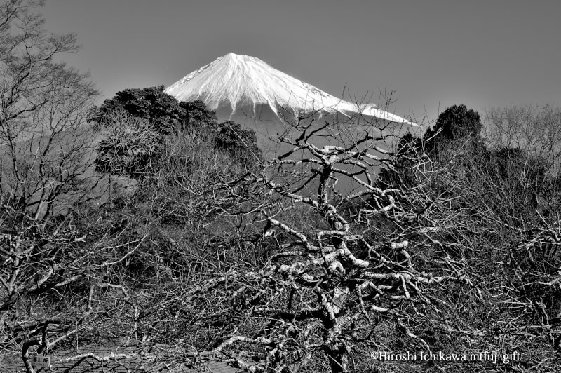 富士山3