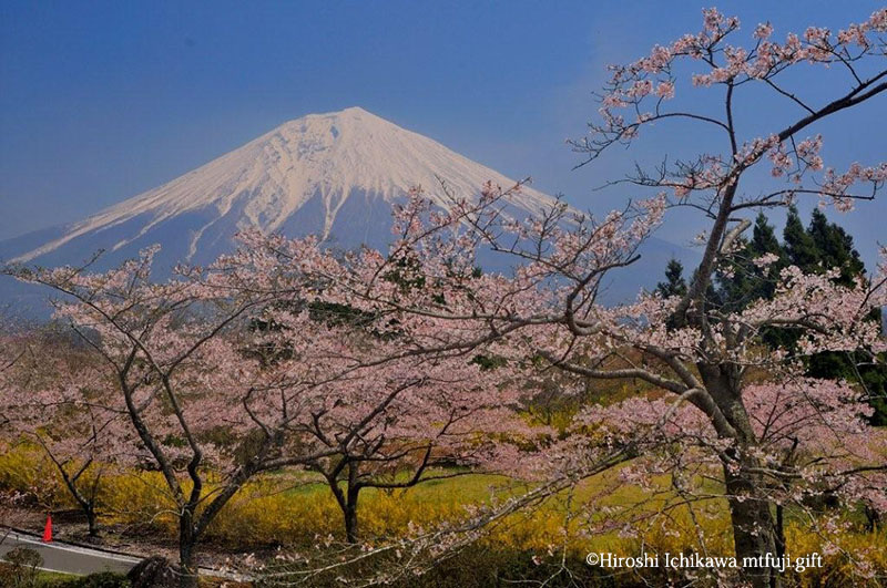 富士山64