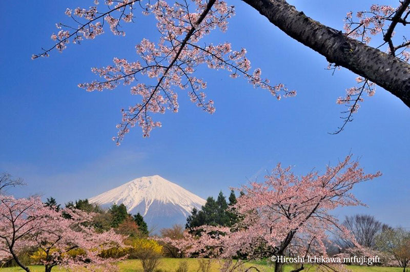 富士山69