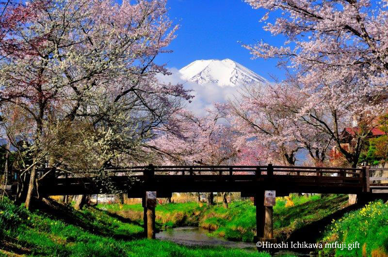 富士山78