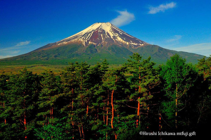 富士山88